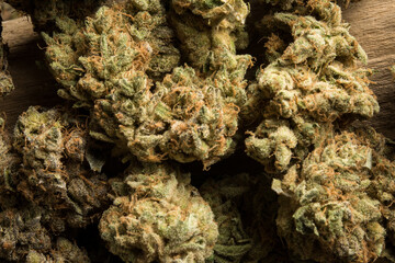 cannabis nugs

