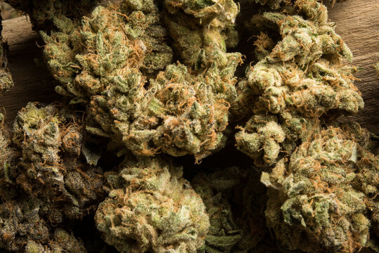 cannabis nugs
