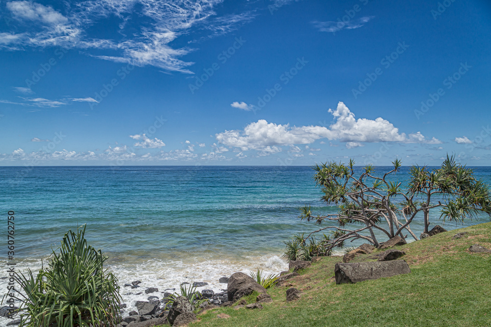 Poster Looking out to sea from the headland 