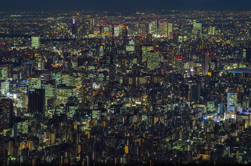 Fototapeta na wymiar Tokyo city at night, the vast metropolis spreads out to the horizon as viewed from the Skytower
