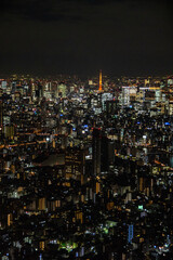 Tokyo city at night, the vast metropolis  spreads out  to the horizon as viewed from the Skytower
