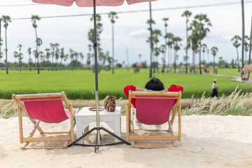 Back view of female sit for resting and waiting for time to take photos of the sunset on the farmer's balcony in the rice fields