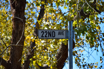 Twenty second/22nd Avenue road sign/street name