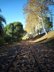 Fototapeta premium Trilhos de trem