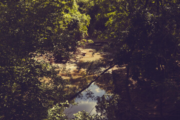 Forest River on a summer day in a Texas nature reserve.