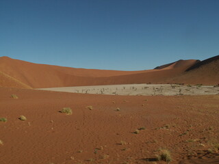 Fototapeta na wymiar Dead water hole surrounded by red sand dunes