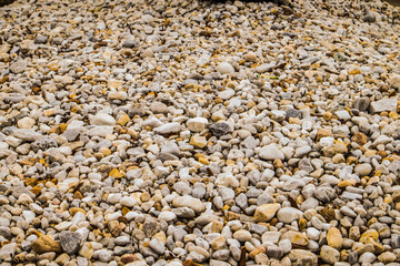 pebbles on the beach