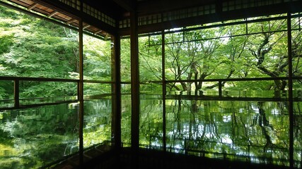 Ruriko-in (Kyoto)