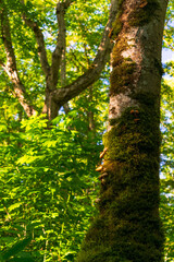 A Sunny Day in Washington