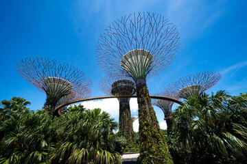 Árvores artificiais de Singapura. Garden by the bay  
Supertree Grove
Marina Bay