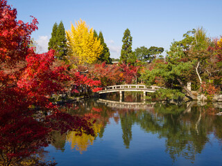 Fototapeta na wymiar Japanese garden of Eikando Zenrinji temple in autumn, Kyoto, Japan.