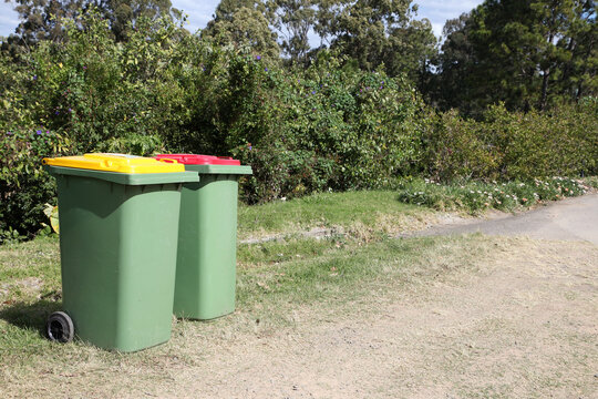 Rubbish and recycling bins on the side of a road with plants and trees in background