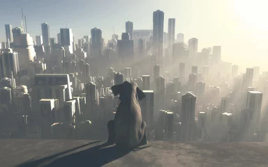 Foto op Canvas Sitting elephant looking at a big city during sunset . industrialization and global warming concept. This is a 3d render illustration . . © allvision