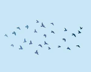 Flying birds silhouettes on white background. Vector illustration. isolated bird flying. tattoo design.