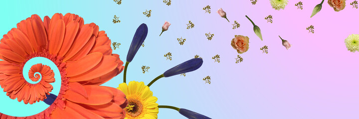 Flower banner with the image of spiral flowers dispersing a whirlwind of rose buds and eucalyptus...