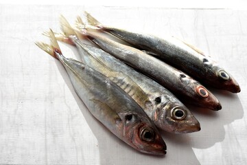 fresh fish on the market/ Fresh raw  fish on white wooden background/ Omega 3/ Healthy Mediterranean cuisine 