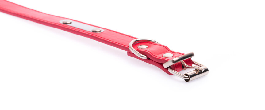 A Red Dog Collar Isolated On A White Background