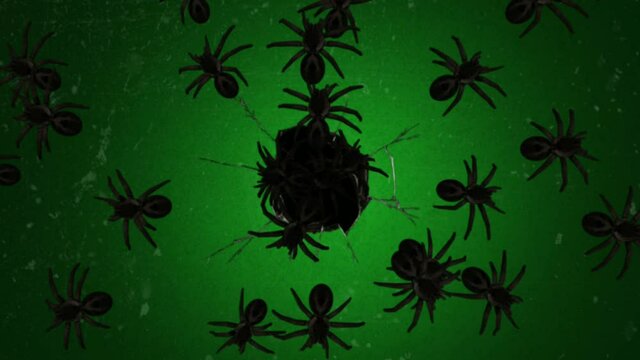 Spooky spiders motion graphics with green screen background
