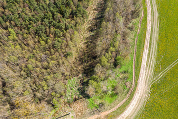 aerial top view of curved dirt road between forest and meadow. rural landscape, summer day.