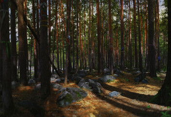 Obraz premium panoramic landscape in the forest. the concept of unity with the nature of meditation and tranquility.