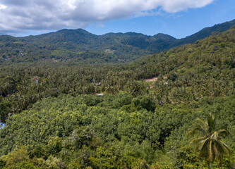 Aerial along tropical rainforest, nature of jungle, wilderness, natural landscape, aerial rainforest canopy from above