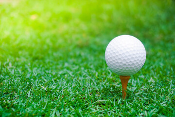 Green grass with golf ball close-up in soft focus at sunlight. Sport playground for golf club concept ,Golf ball on tee ready to be shot