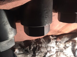 Big Nut © Alejandro Gomez/Wirestock