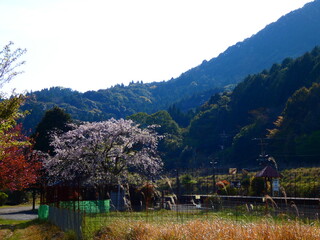 鉄道
