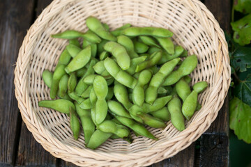 ざるに入ったとれたて枝豆