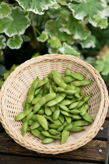 カゴに入った枝豆と庭