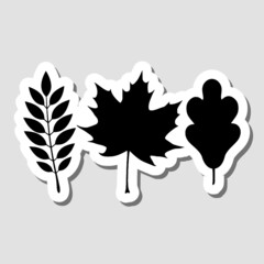 Leaf sticker Icon isolated on gray background
