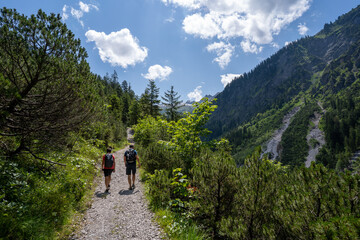 Obraz premium Großes Walsertal Österreich im Sommer