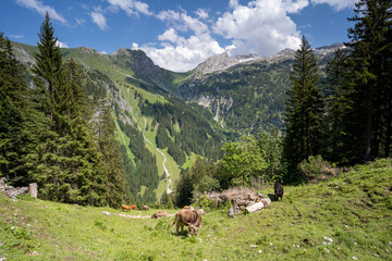 Österreich Großes Walsertal im Sommer