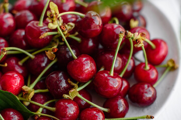 Fresh delicious red bright cherry berries torn in the summer garden