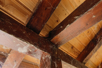 Shallow depth of field (selective focus) image with spider webs inside an abandoned wooden cabin.