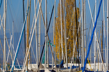 masts of sailing boats in the harbor