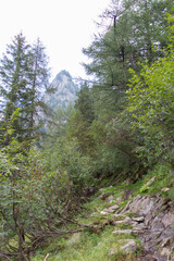 Fototapeta na wymiar The view of mountain peak seeing through forest, Lombardy, Italy.