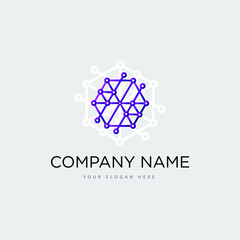 Fototapeta premium Networking and computer logo