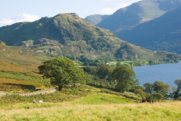 Fototapeta na wymiar Hazy autumn sunshine lights the Buttermere Valley, part of the Lake District, Cumbria, England, showing Crummock Water, Rannerdale Knotts and the majestic High Stile mountain range.