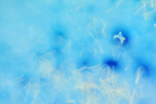 beautiful bokeh coler in close up for background