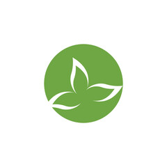 Leaf Logo Template vector symbol