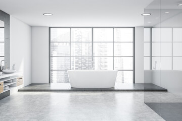 Obraz na płótnie Canvas Panoramic white and grey bathroom