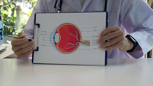 An ophthalmologist explains the anatomy of the eye to the patient.