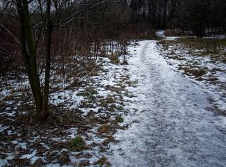 Obraz premium path through the little snow forest, Moscow
