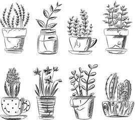 set of black and white image of indoor plants