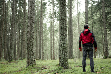 Obraz premium a man walking alone inside a forest in a cloudy day