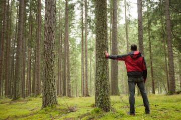 a man walking alone inside a forest in a cloudy day