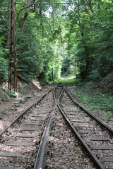 Obraz premium railway in the forest