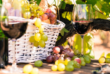 glass of red wine grapes and picnic basket on table in field