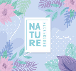 nature background, flowers and tropical nature leaves of pastel color vector illustration design